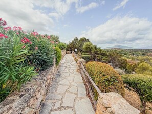 Ein gepflasterter Weg führt durch einen Garten mit verschiedenen Pflanzen und Sträuchern.
