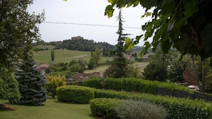 Un jardín bien cuidado con setos ordenados, diferentes árboles y una vista distante de un edificio en la cima de una colina.