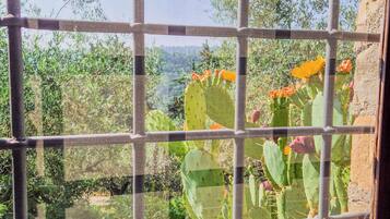 Vistas al campo desde el alojamiento