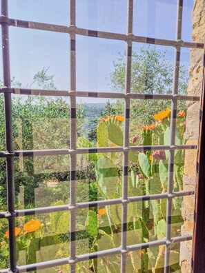 Land view from property