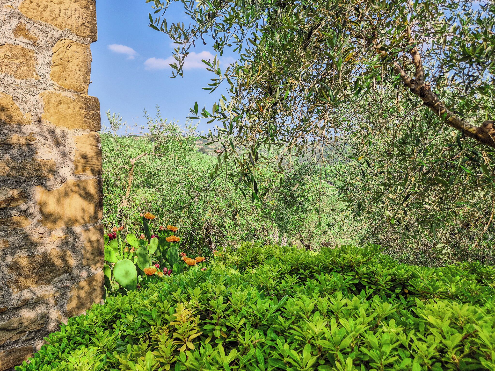 Appartamento Comfort | Vista giardino