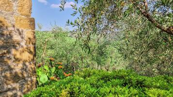 Appartamento Comfort | Vista giardino