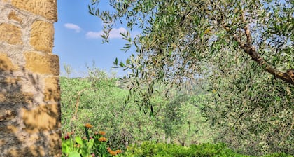 La Casa Monte Oliveto