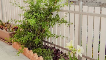 Appartement Deluxe | Terrasse/Patio