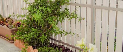 A garden with various plants and flowers, a white fence, and a concrete floor.