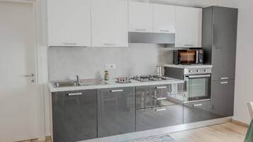 Deluxe Apartment | Private kitchen | Full-size fridge, microwave, oven, stovetop