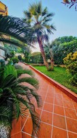 Un sendero en un jardín con palmeras y piso de baldosas.