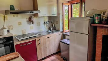 Deluxe Apartment | Private kitchen | Fridge, oven, stovetop, dishwasher