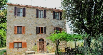 Podere tra gli Ulivi