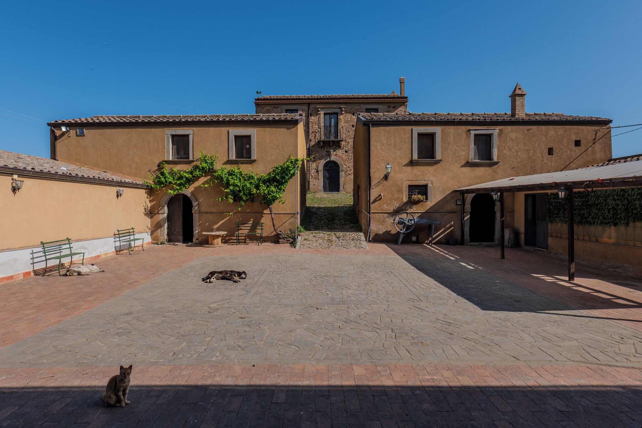 Un patio con un edificio que tiene una entrada principal, una banca y un gato.