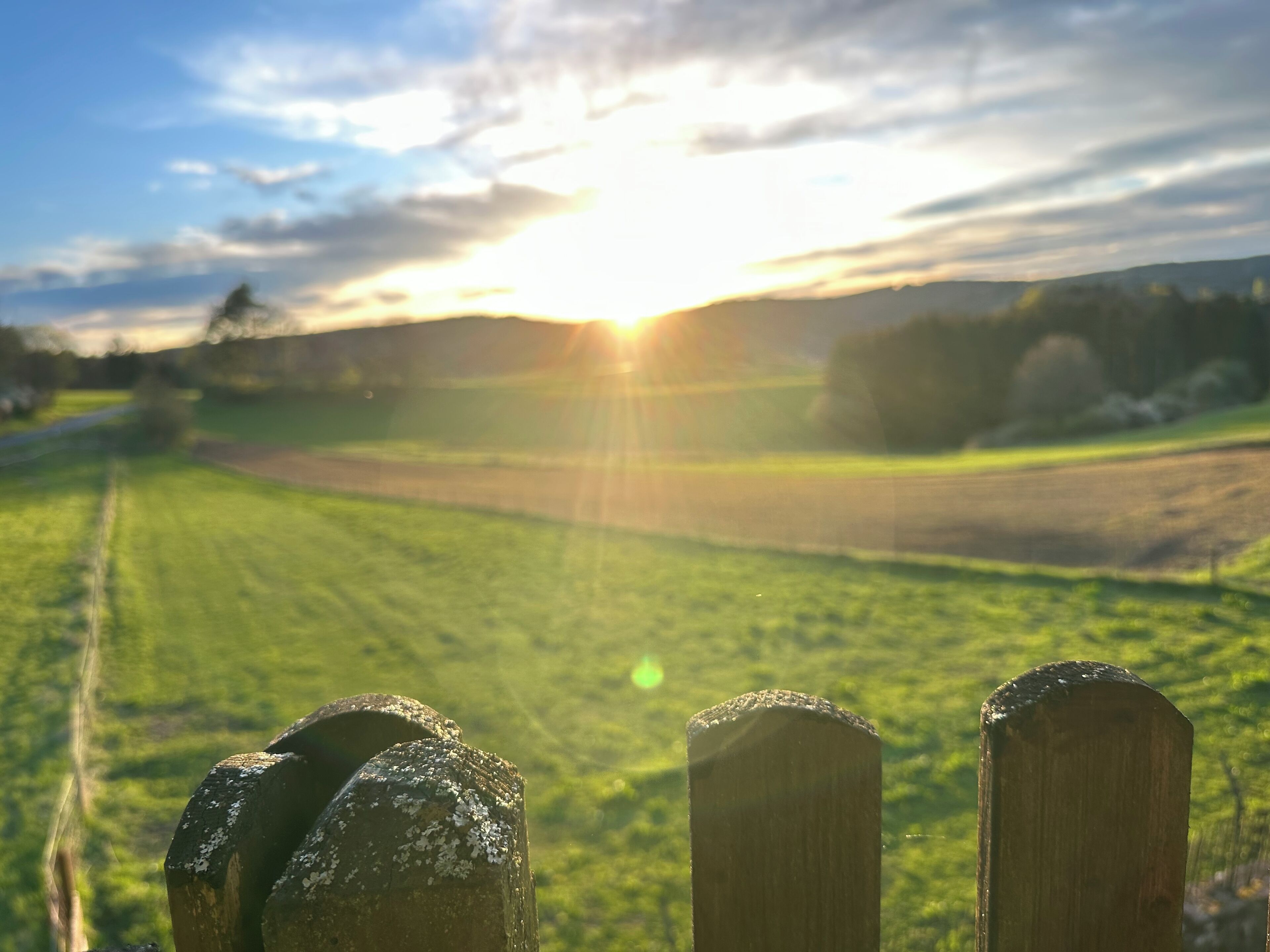 Een houten hek met een metalen poort in een grasveld, met een zonsondergang op de achtergrond.