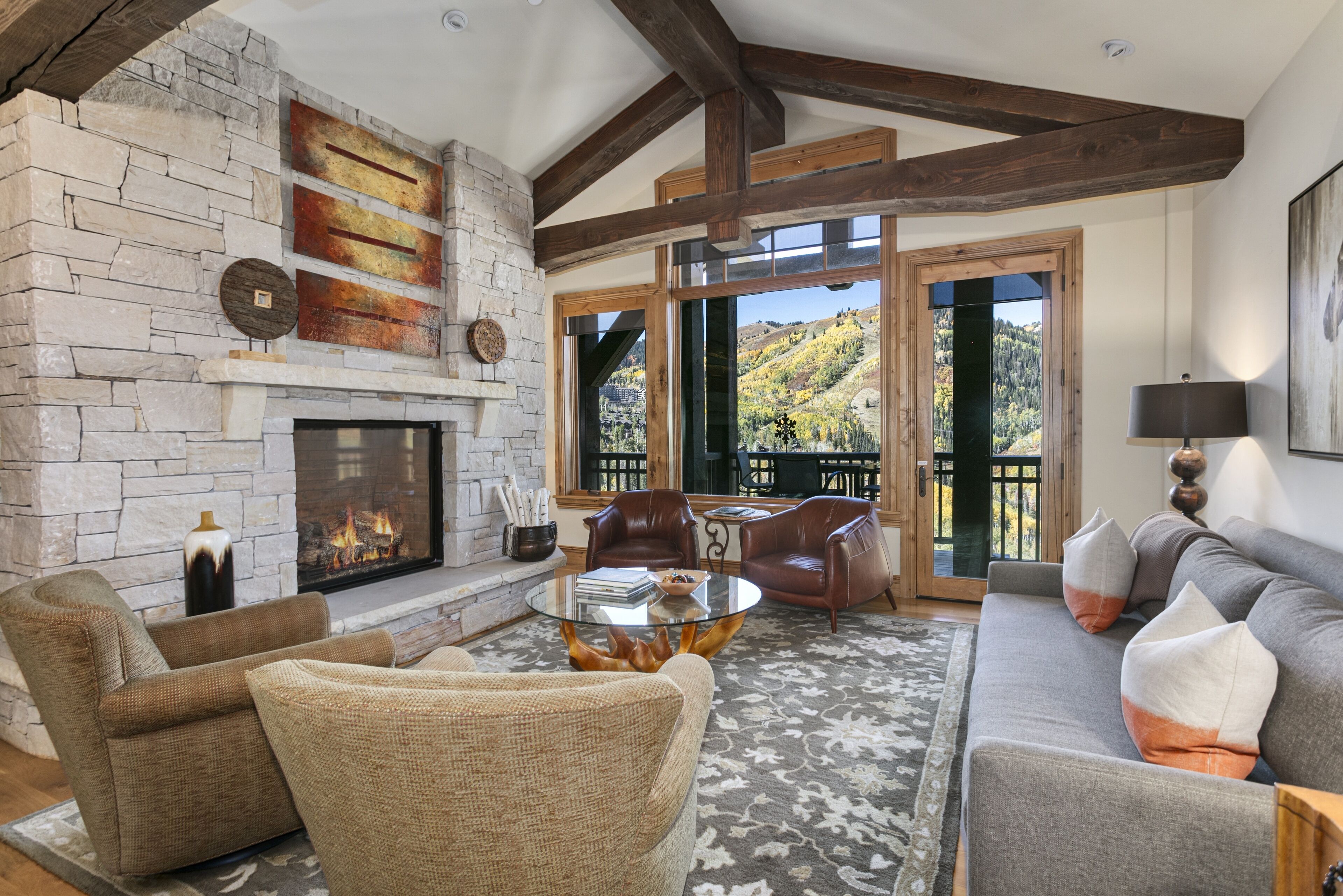 TV, fireplace, books