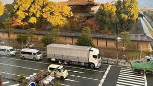 A multi-tiered pagoda with a traditional roof, surrounded by autumn-colored trees. - PREMIUM TOJI (Kyoto)