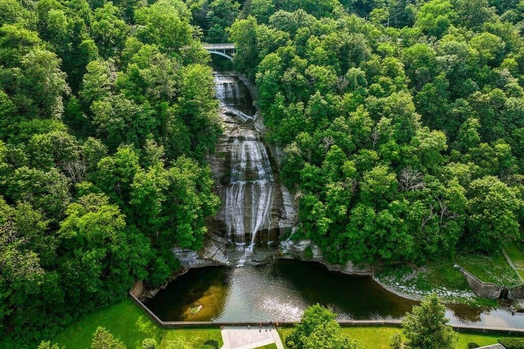 Une cascade entourée d’une forêt dense, une plateforme d’observation et un petit étang.