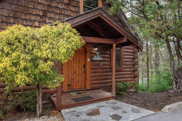 Exterior detail - 2 Bedrooms Game Room Hot Tub Dog Friendly (Pigeon Forge)