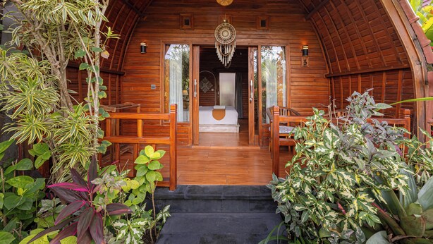 Une cabane en bois avec un escalier menant à un lit, entourée d’une végétation luxuriante.
