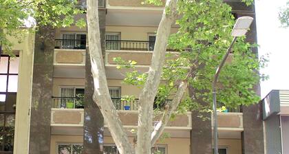 Modern Bright Apartment in the Heart of Mendozaâs Tourist District