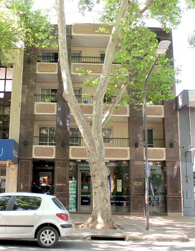 Modern Bright Apartment in the Heart of Mendoza’s Tourist District