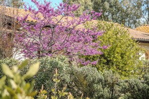 Exterior detail - Agriturismo Canova - Private Villas (Grosseto)