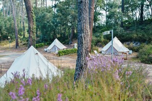 Property grounds - Cocooning Tipi - Seignosse (SEIGNOSSE)