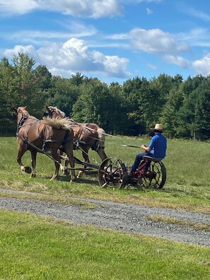 Miscellaneous - Campsite 2. Pleasant campground in Wadhams perfect for your outdoor getaway (Wadhams)