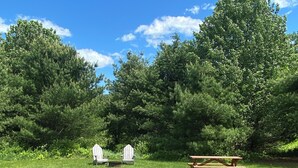 A grassy field with picnic tables and benches, surrounded by dense trees.