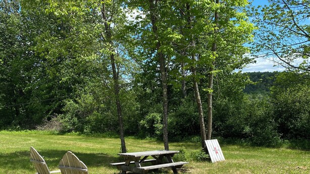 A picnic area with wooden benches and a picnic table in a grassy field surrounded by trees.