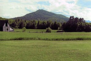 Miscellaneous - Campsite 2. Pleasant campground in Wadhams perfect for your outdoor getaway (Wadhams)