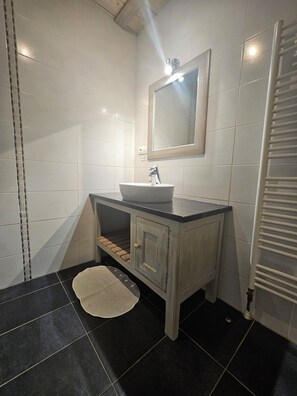 Shower, hair dryer, soap, toilet paper