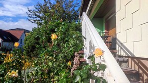 Un jardin où s’épanouissent des rosiers, avec une balustrade blanche.