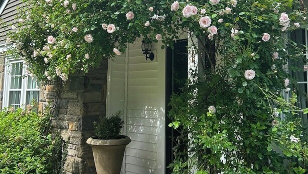 Ein Steinhaus mit einer weißen Tür und einem großen Blumentopf davor.
