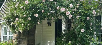 Private Cape Cod Retreat with Chef’s Kitchen & Serene Backyard