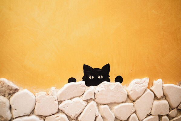 Un gato negro asomándose sobre un muro de piedra blanca.