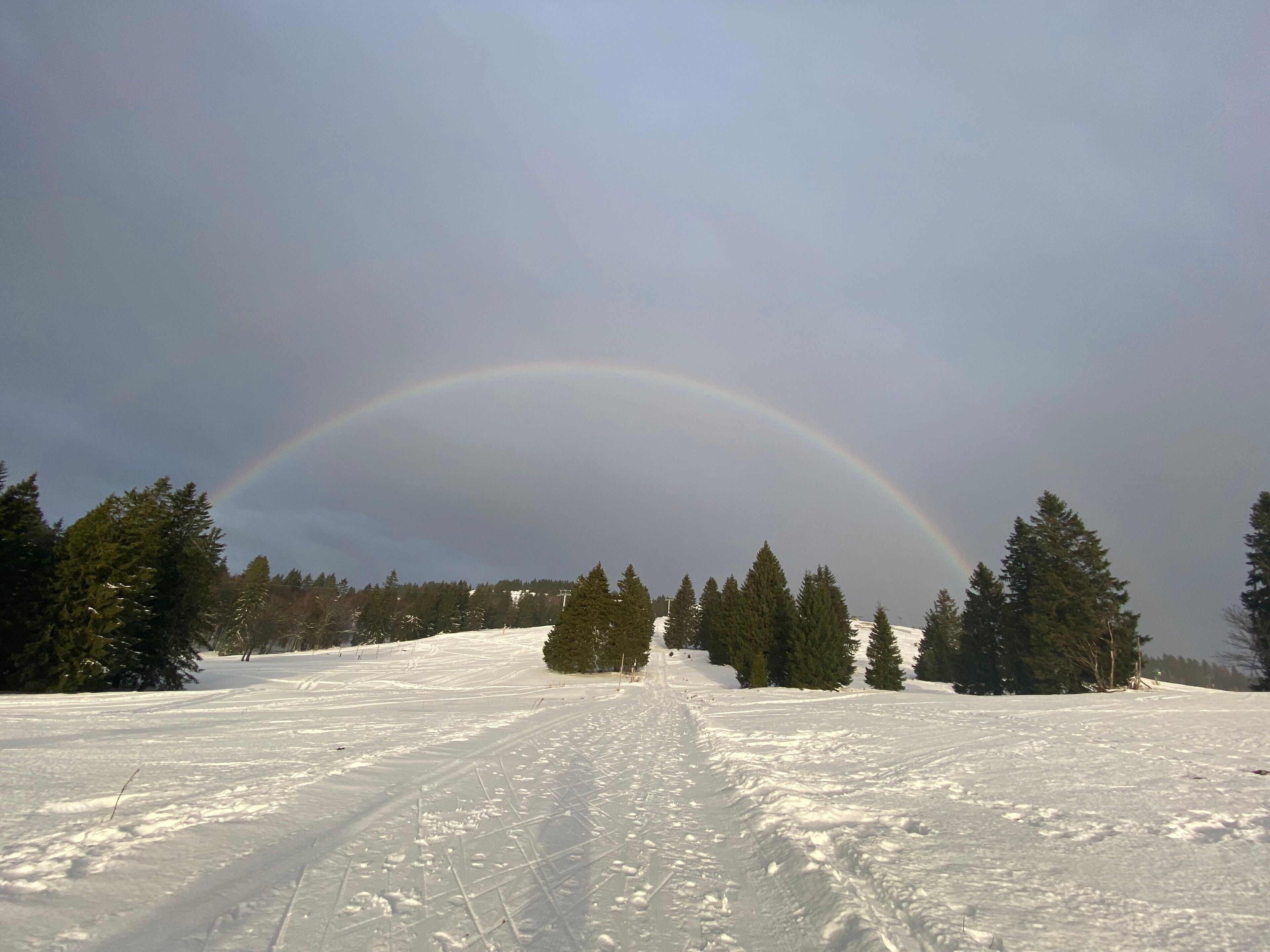 Een besneeerd landschap met een regenboog, bomen en een heldere lucht.