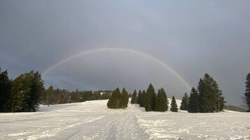 Een besneeerd landschap met een regenboog, bomen en een heldere lucht.