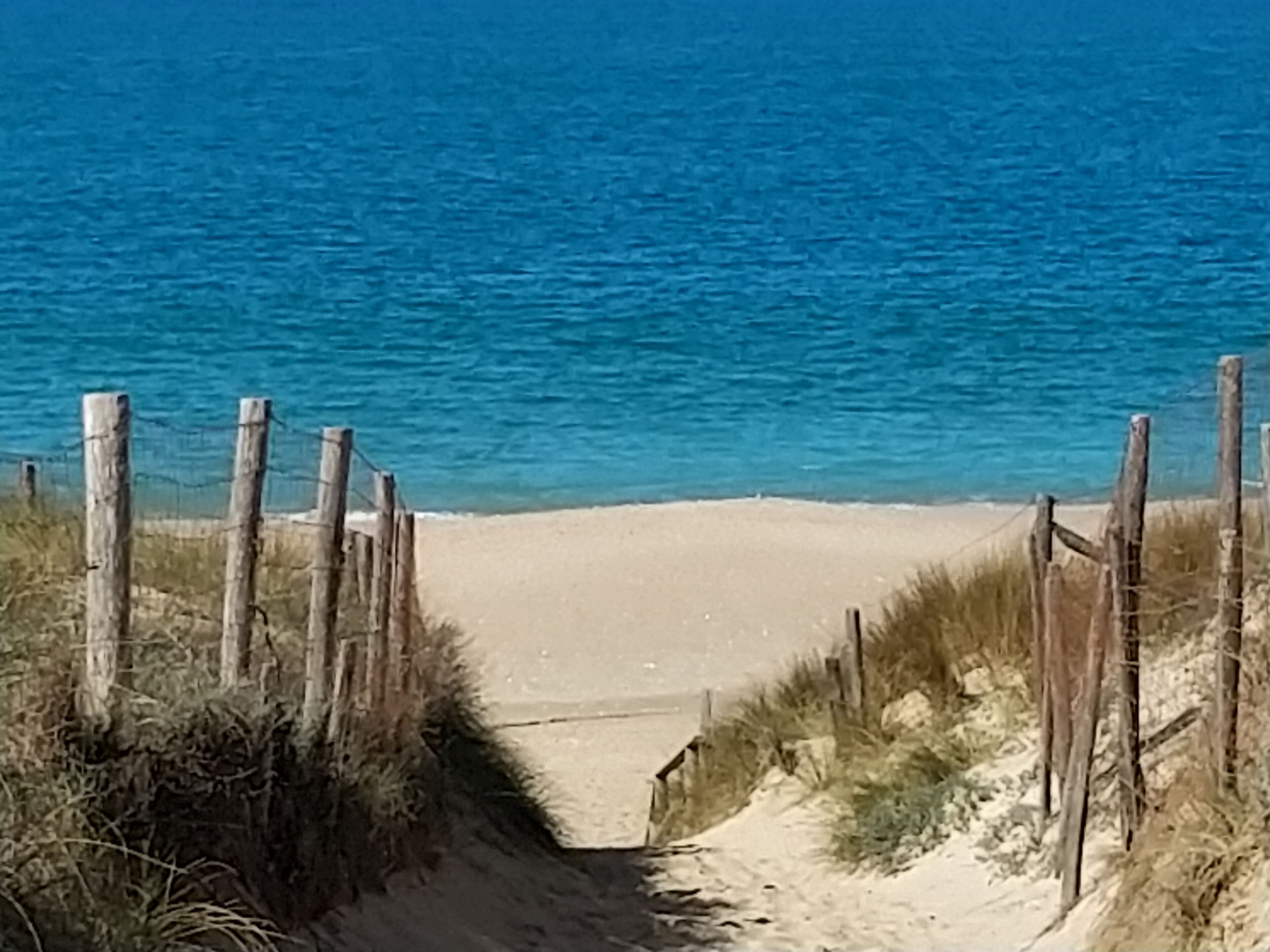 En sandig stig som leder till havet, med trästolpar och växtlighet längs sidorna.