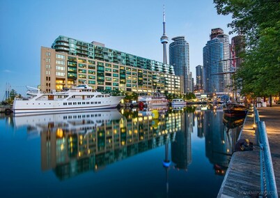 Bright & Modern Downtown Condo, Walk to Jays & MTCC