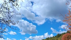 Ein Picknickbereich mit einer hölzernen Bank und einem Picknicktisch, umgeben von einer grünen Wiese und Bäumen im Herbstlaub.