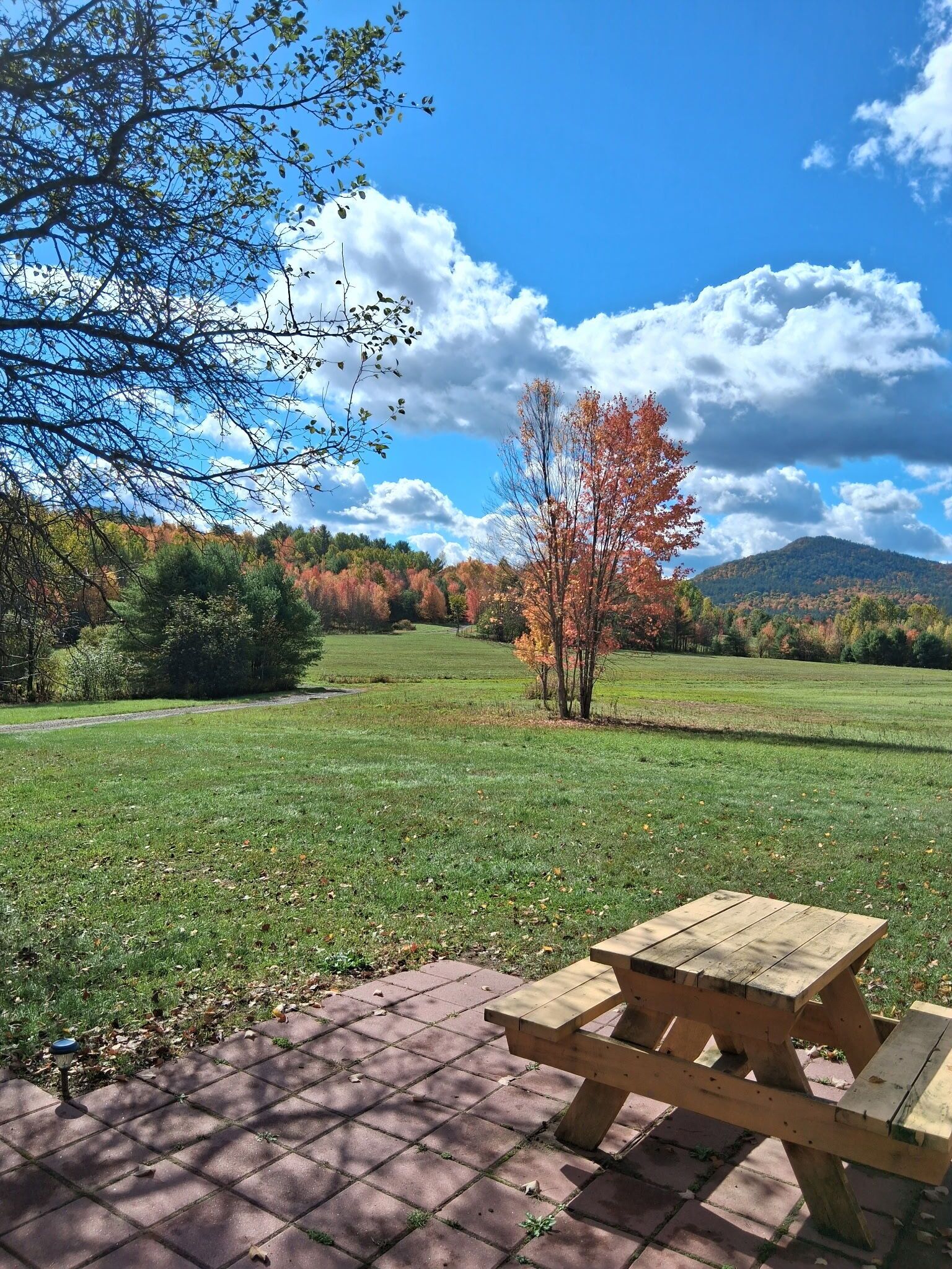 Restauration en plein air