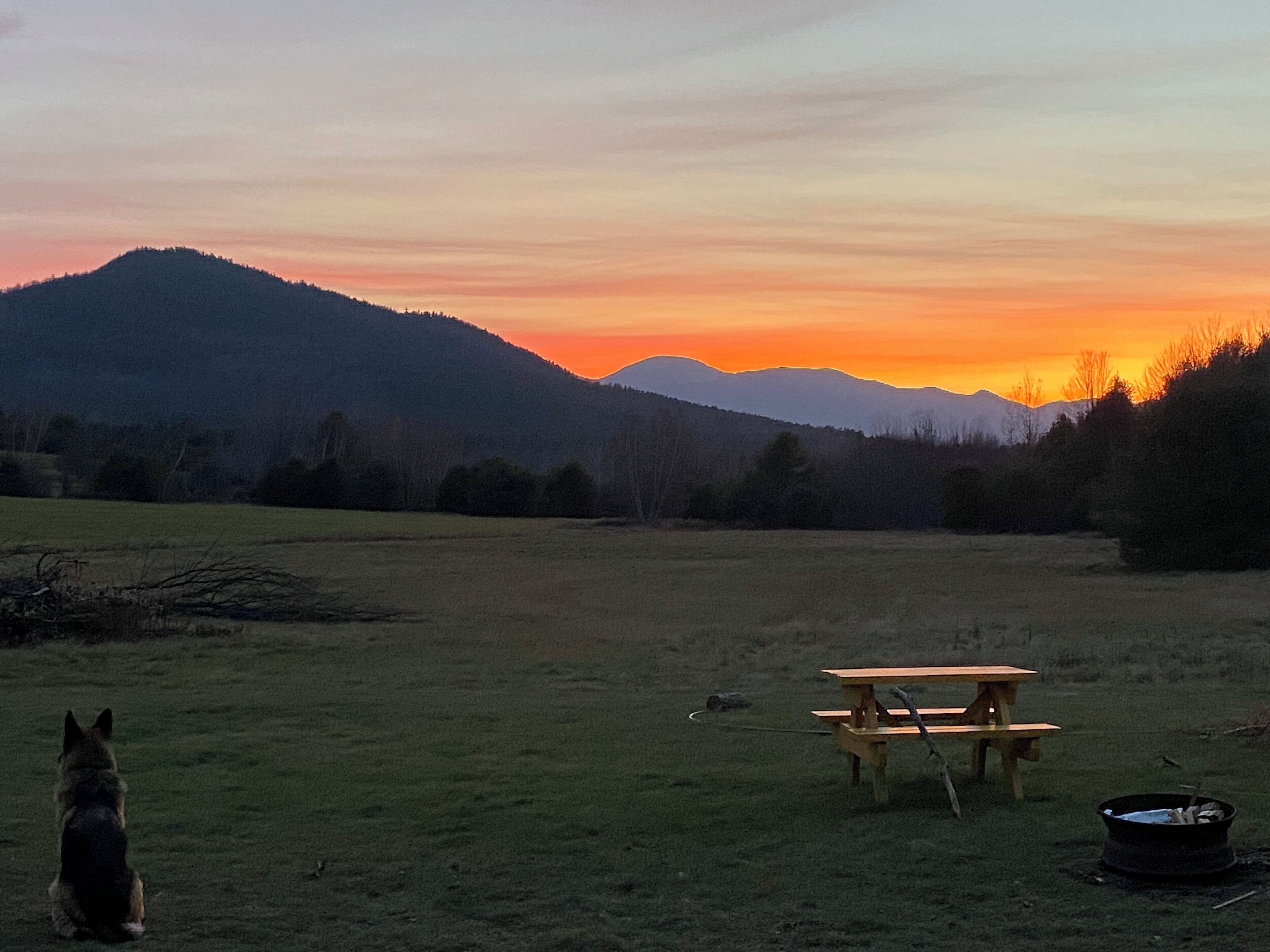 Servei de restauració a l'aire lliure
