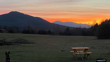 Servei de restauració a l'aire lliure