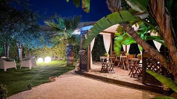 Un patio al aire libre con mesas y sillas, rodeado de exuberante follaje y palmeras.