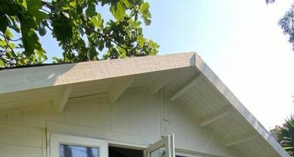 Les Studios de la Côte Roz: Solo Traveler, Garden