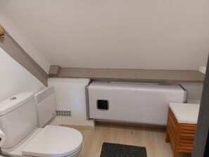 Hair dryer, towels, soap, toilet paper - Longère "LA DAYA" 20 mn from Lac de Guerlédan. (Saint-Nicolas-du-Pélem)