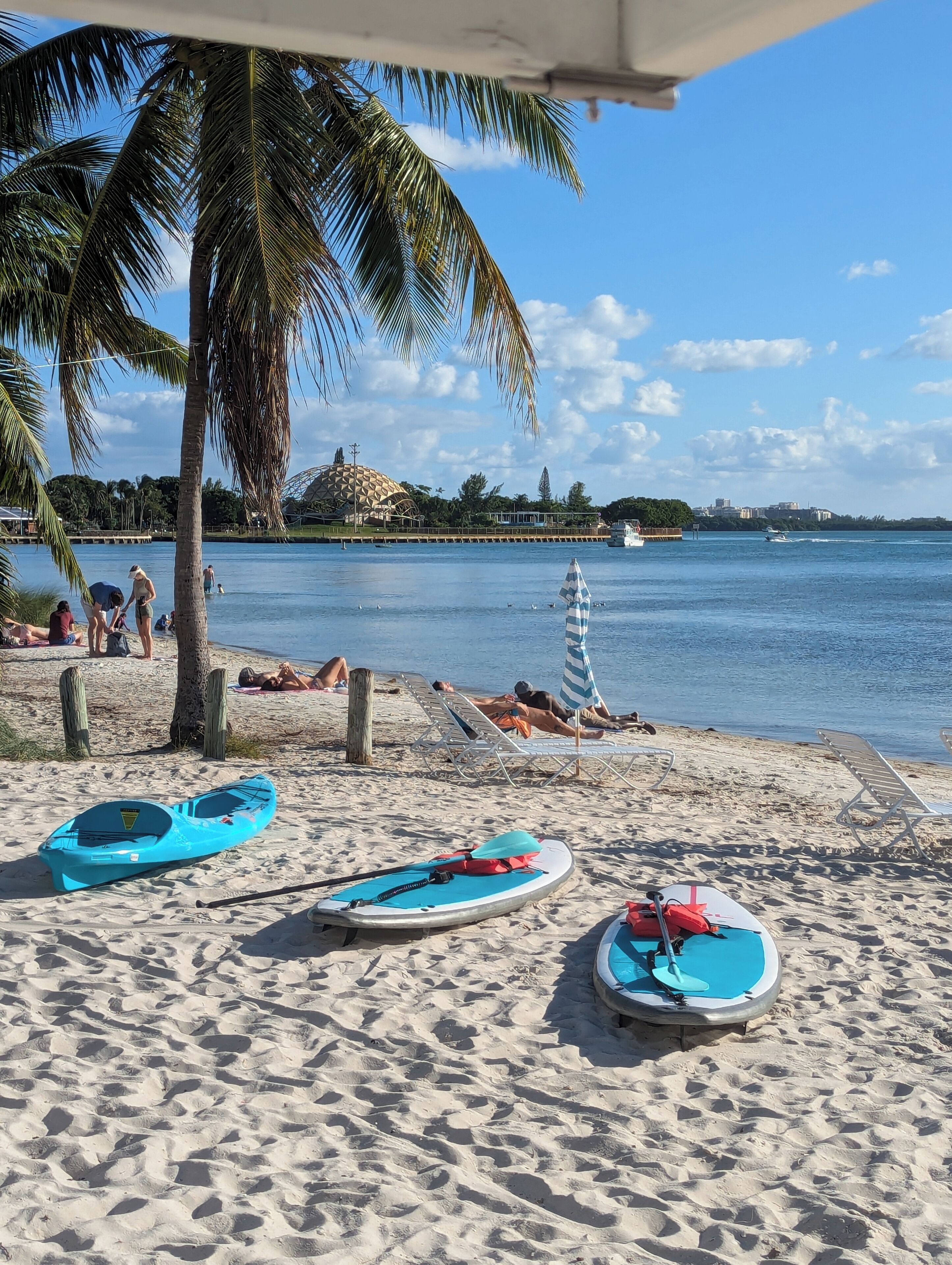 Ein Strand mit Kajaks, einer Palme und freier Wasserblick.