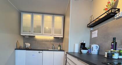 Elegant Apartment with 3 Bedrooms in the City Center
