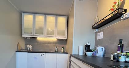 Spacious and central 3-bedroom apartment in a semi-detached house