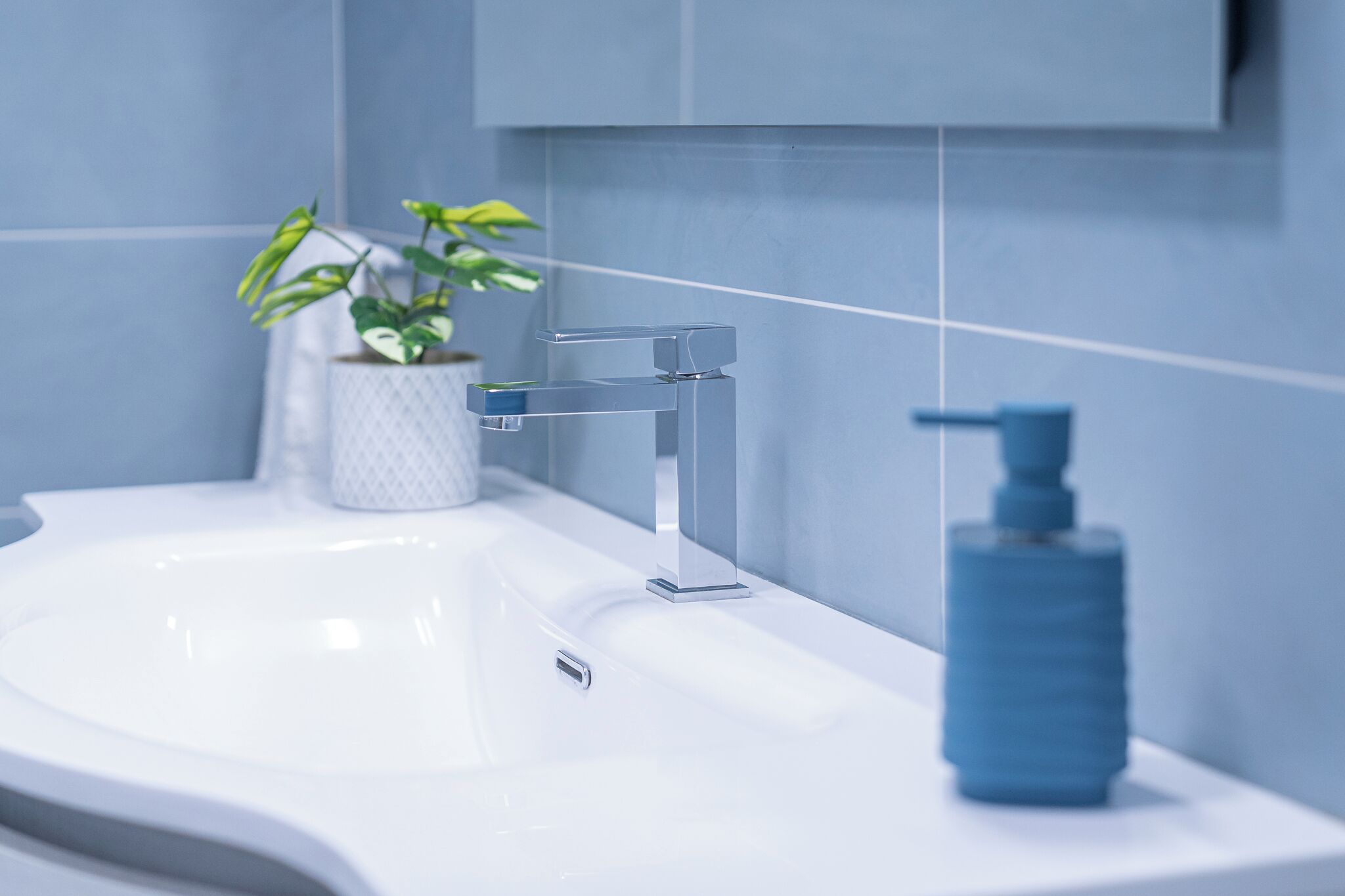 Une salle de bain moderne avec un lavabo blanc, un robinet chromé, un distributeur de savon bleu et une plante en pot.