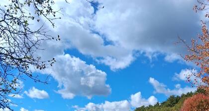 Pleasant campground retreat in Wadhams perfect for outdoor lovers