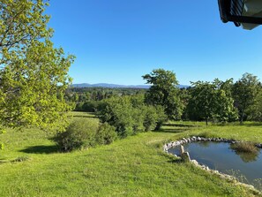 A lush green landscape with a pond, trees, and a clear blue sky. - 5 star vacation apartment with indoor pool and wellness area use (Braunlage)